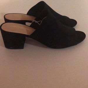 New never worn Black Open Toe Shoes